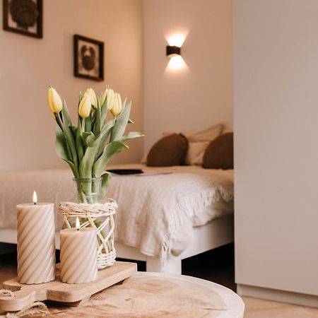 Casa La Vida Beach House & Free Bikes 잔드보르트 외부 사진