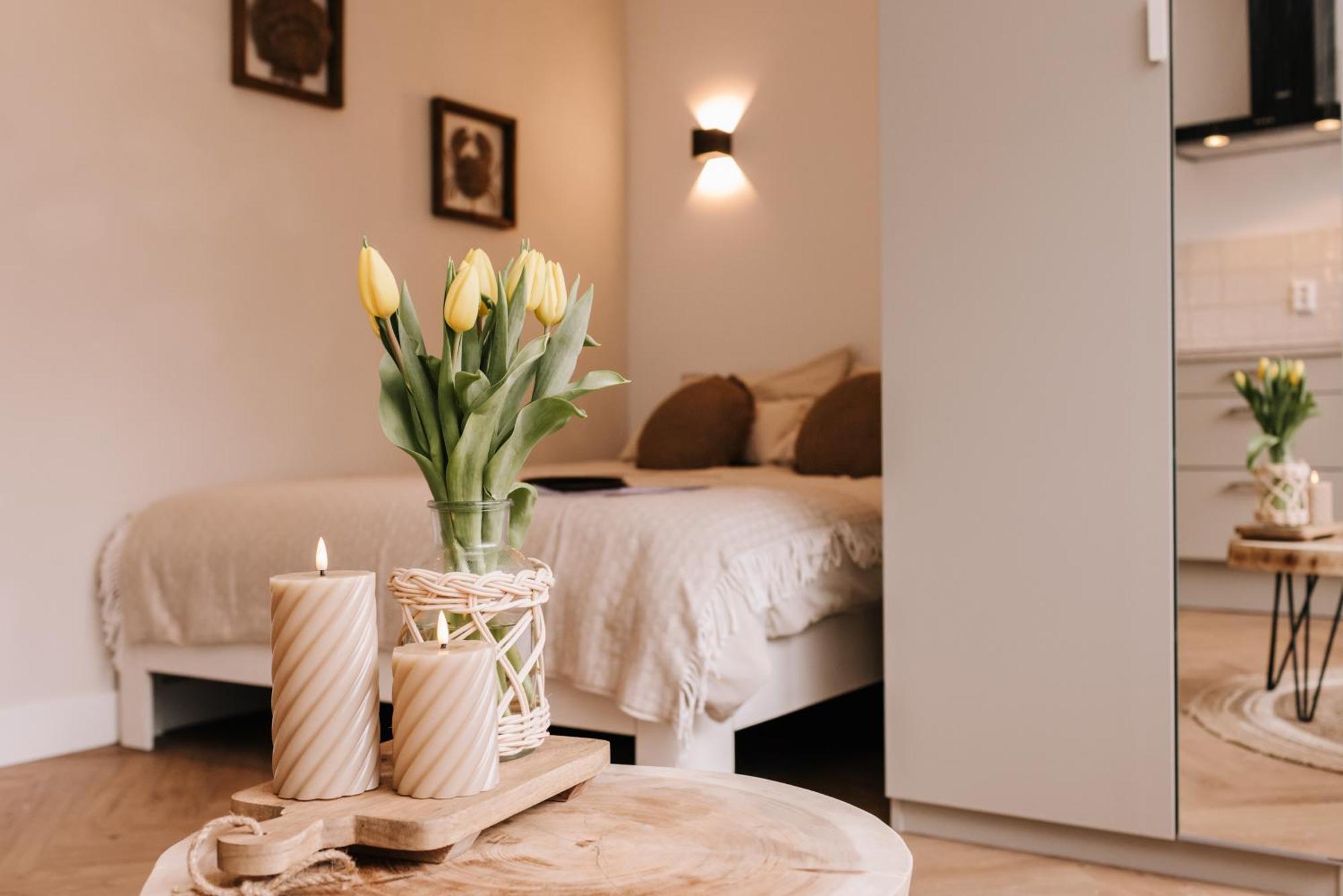 Casa La Vida Beach House & Free Bikes 잔드보르트 외부 사진