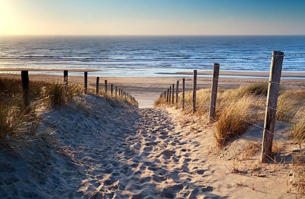 Casa La Vida Beach House & Free Bikes 잔드보르트 외부 사진